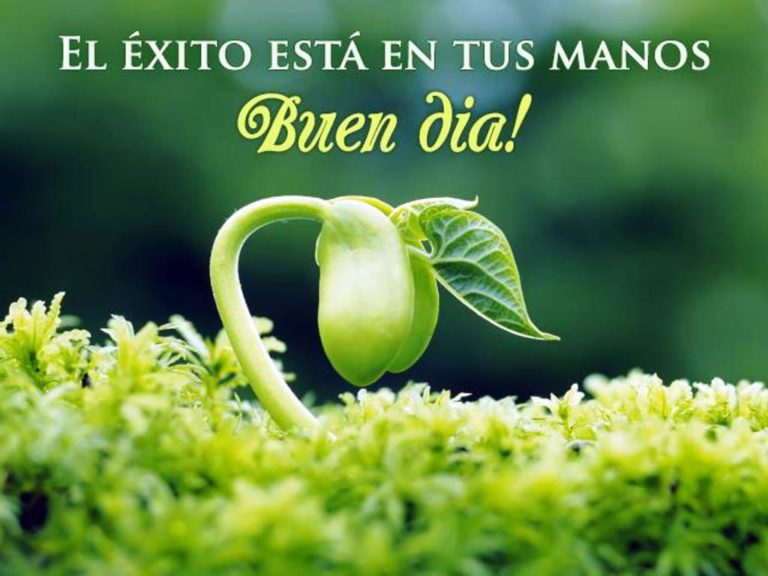 Good Morning Wishes In Spanish Good Morning Wishes