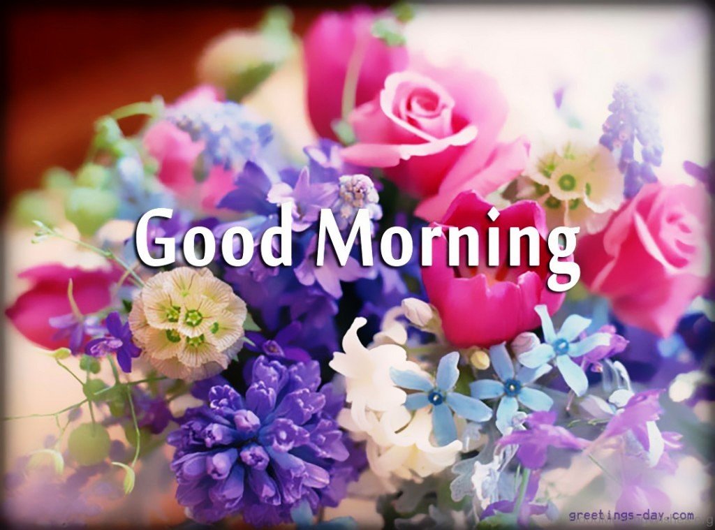 162 lovely good morning wishes with flowers