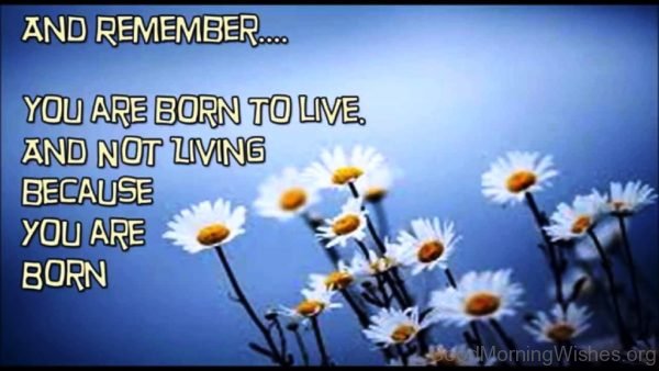 And Remember You Are Born To Live