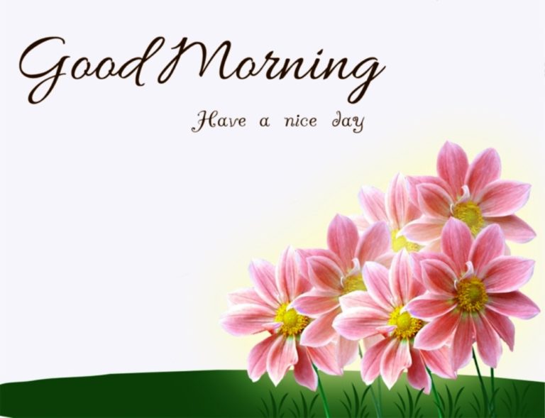 162 Lovely Good Morning Wishes With Flowers - Good Morning Wishes
