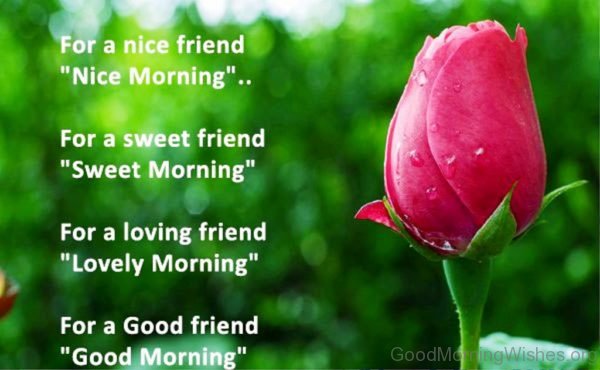 For A Nice Frifends Nice Morning