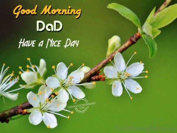 Good Morning Dad Have A Nice Day