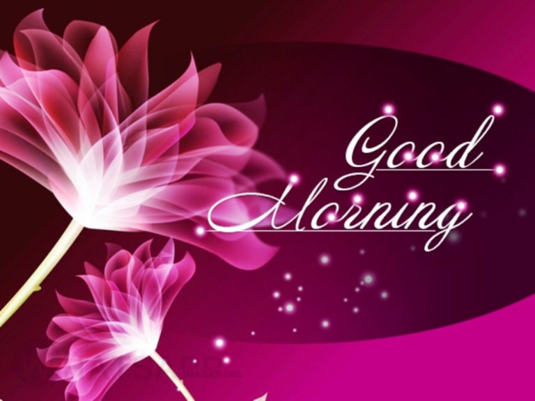 162 Lovely Good Morning Wishes With Flowers - Good Morning Wishes