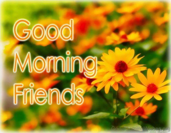 Good Morning Friends Image 1