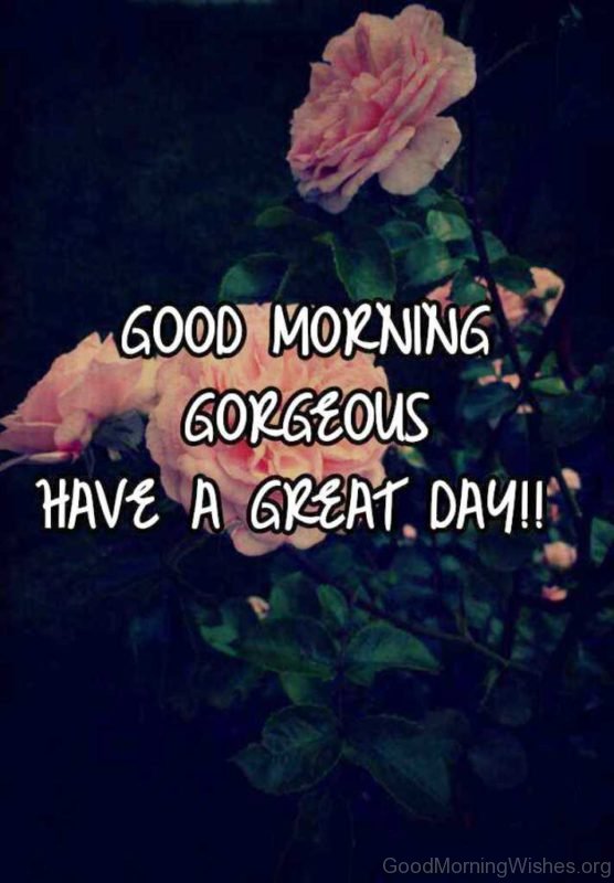 Good Morning Gorgeous Have A Great Day