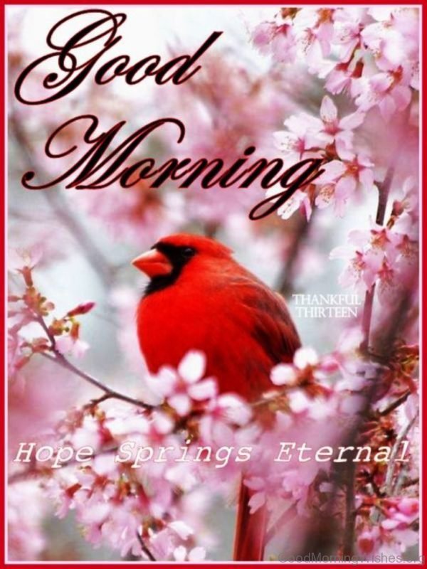 Good Morning Hope Springs Eternal