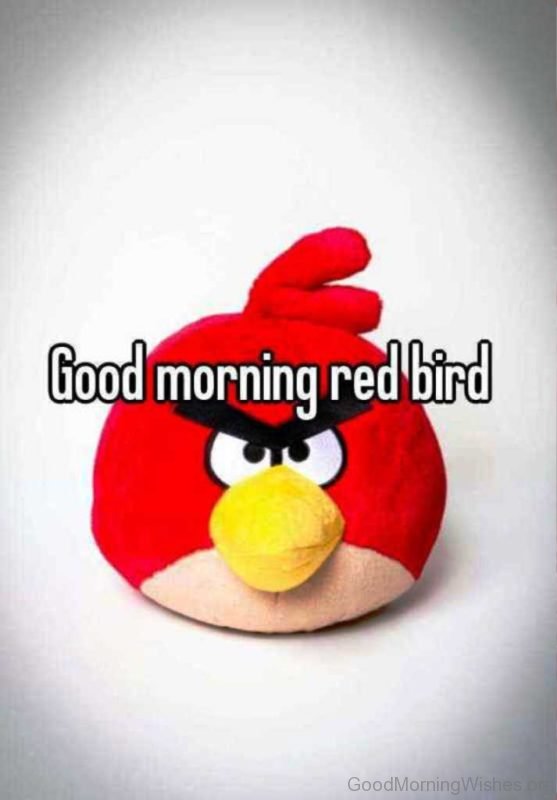 Good Morning Red Bird Pic