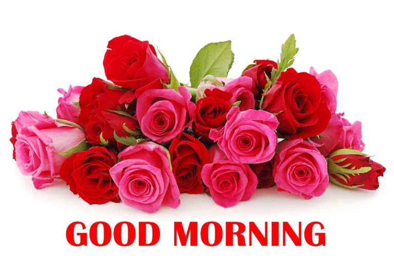 92 Good Morning Wishes With Rose - Good Morning Wishes