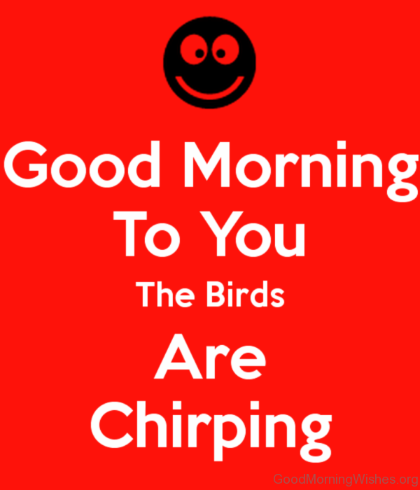 Good Morning To You The Birds Are Chirping