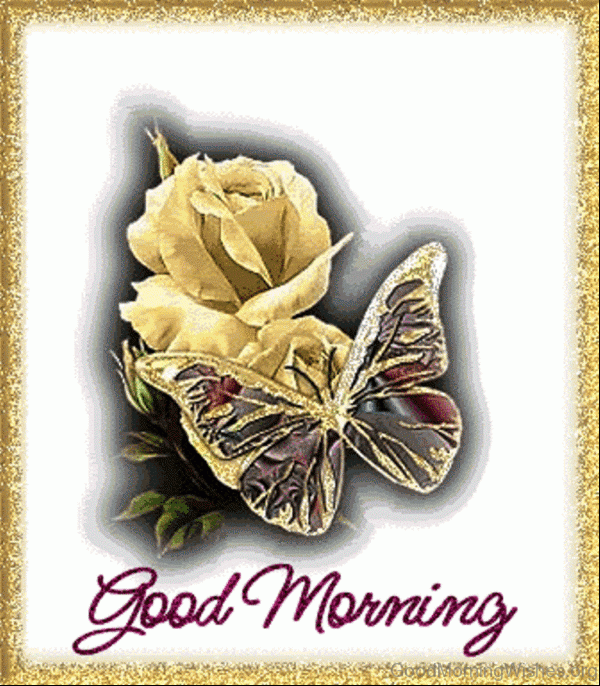 Good Morning Wiith Butterfly