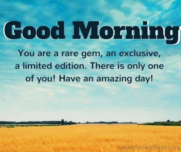 Good Morning You Are A Rare Gem An Exclusive A Limited Edition