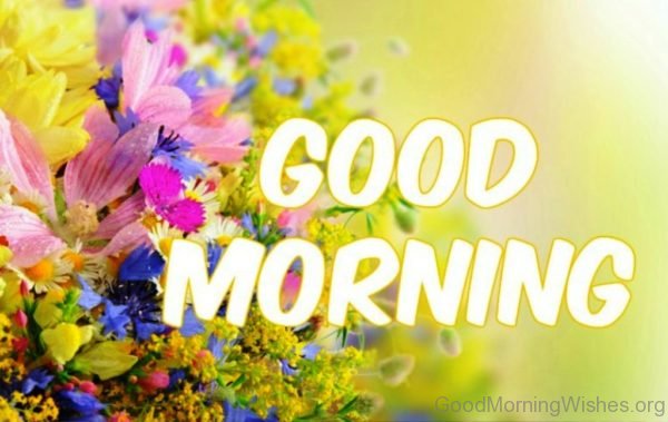Image Of Good Morning Flowers
