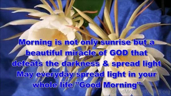 Morning Is Not Only Sunrise But A Beautiful Miracle Of God