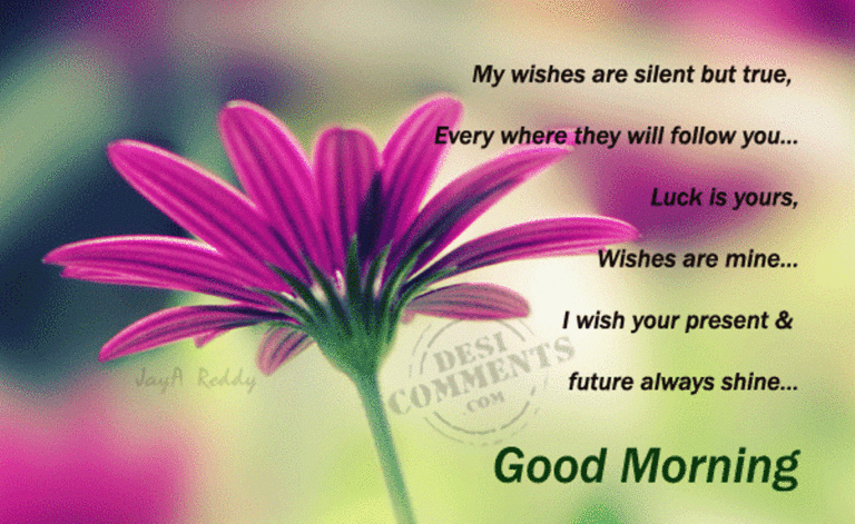 I Wish you good luck. Good morning good luck. Best Wishes good luck фото. Good morning and good luck for you.