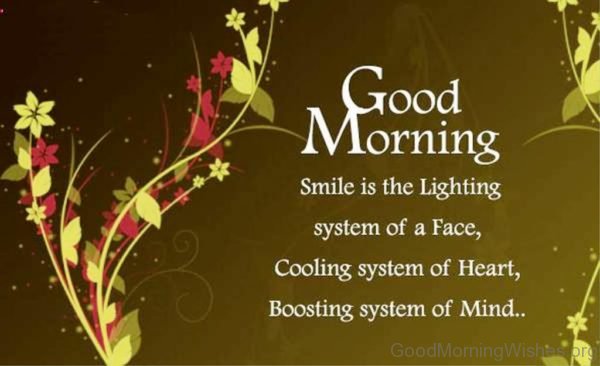 Smile Is lighting System Of A Face