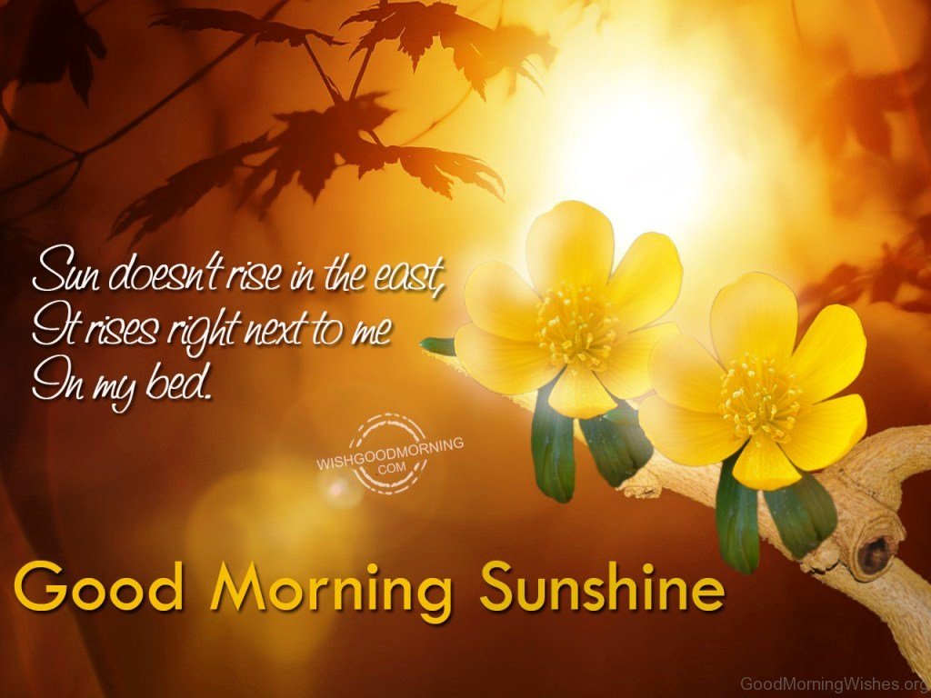 36 Good Morning Sunshine Images - Good Morning Wishes