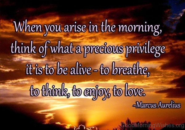 When You Arise In The Morning Quote