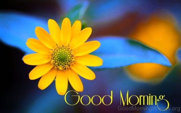 Yellow Flower Good Morning Image
