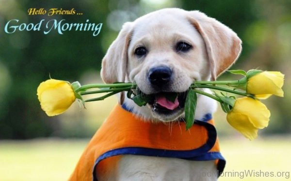 Adorable Good Morning Puppy Pic