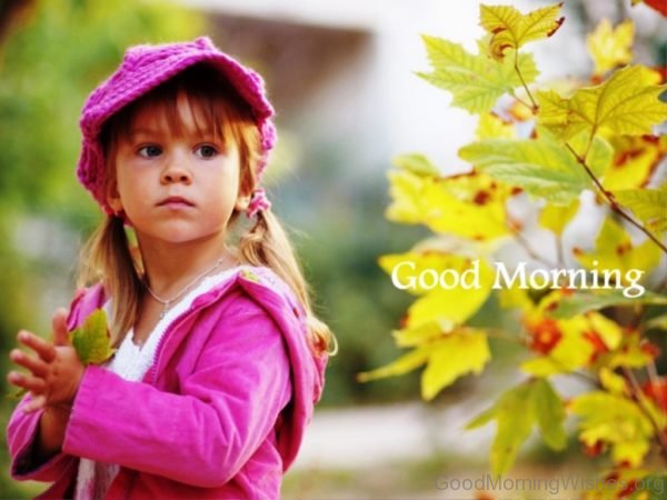 Beautiful Good Morning Picture