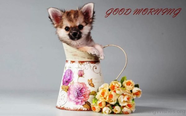 Cute Puppy Good Morning Pic
