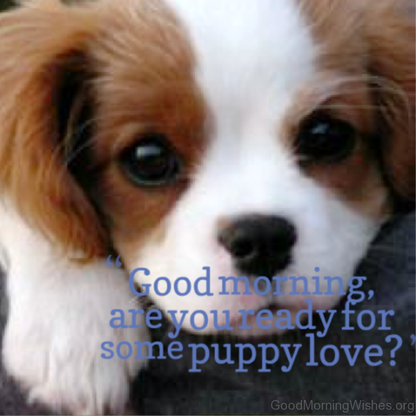 Good Morning Are You Ready For Some Puppy Love