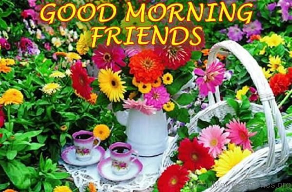 Good Morning Friends 6