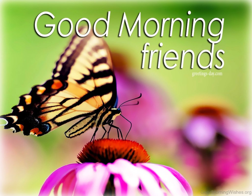 28 Good Morning with Butterfly Quotes - Good Morning Wishes