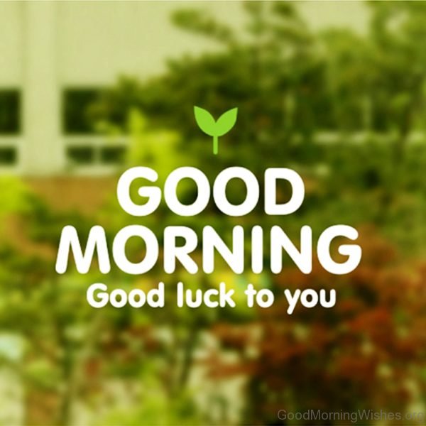 Good Morning Good Luck To You