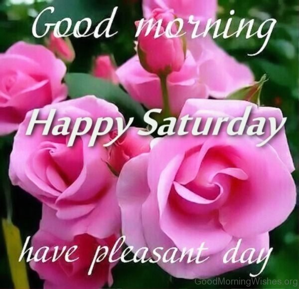 Good Morning Happy Saturday Have Pleasant Day