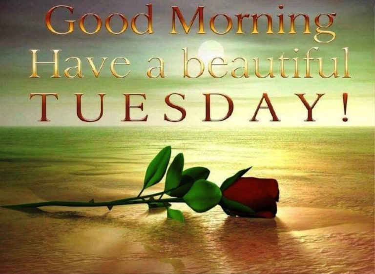 38 Good Morning Wishes on Tuesday - Good Morning Wishes