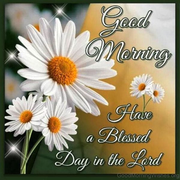 Good Morning Have A Blessed Day In The Lord