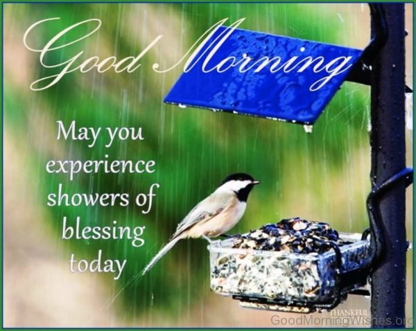 Good Morning May You Experience Showers Of Blessing Today
