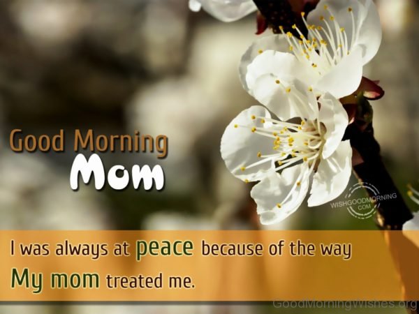 Good Morning Mom I Was Always At Peace