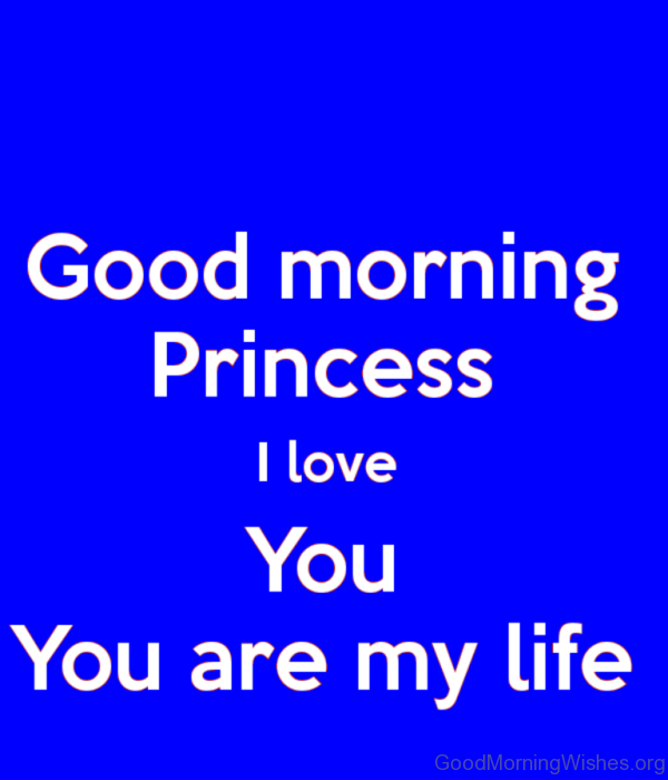 Good Morning Princess I Love You