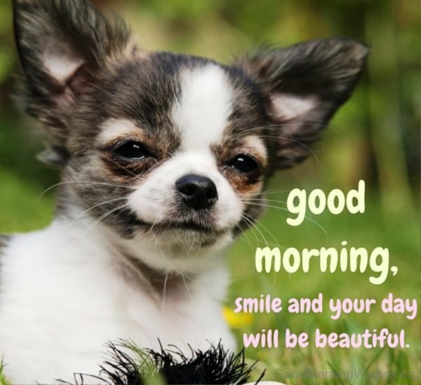 Good Morning Smile And Your Day Will Be Beautiful