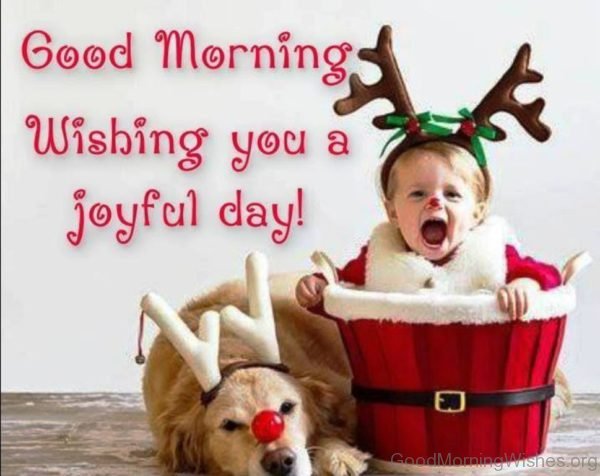 Good Morning Wishing You A Joyful Day 
