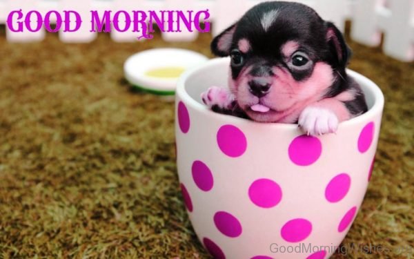 Good Morning With Cute Little Puppy