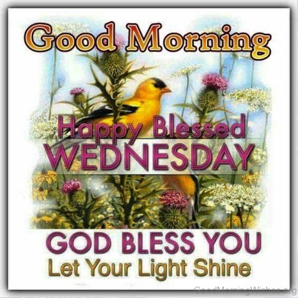 Good morning happy blessed wednesday