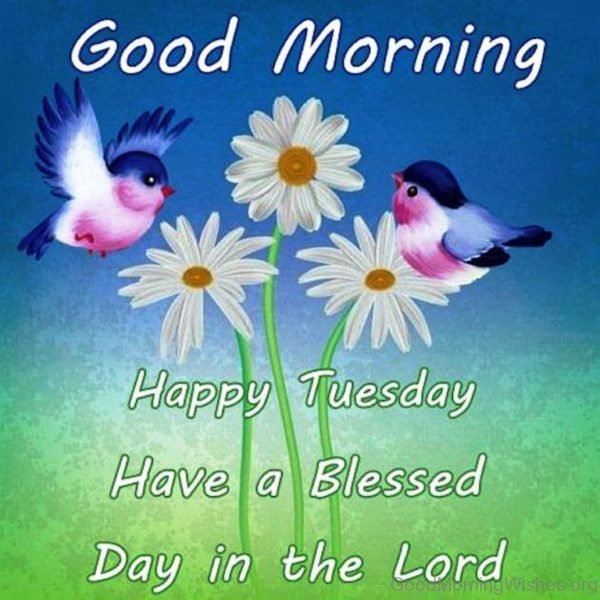 Happy Tuesday Have A Blessed Day In The Lord