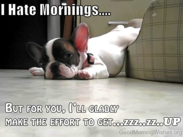 I Hate Mornings But For You Ill Glady