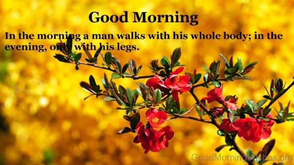 In The Morning A Man Walks With His Whole Body