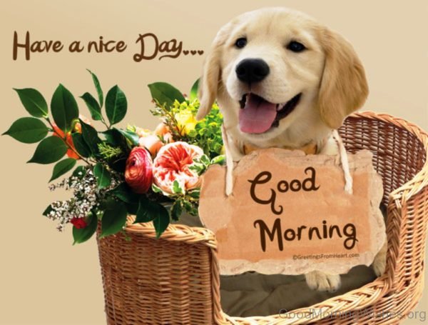 Lovely Good Morning Puppy Image