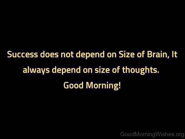 Success Does Not Depend On Size Of Brain