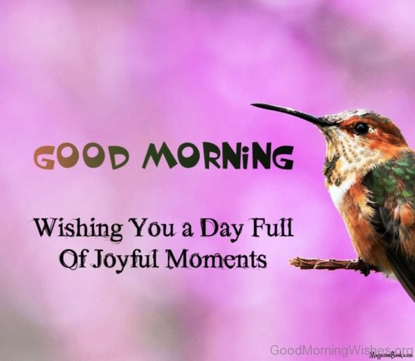 Wishing You A Day Full Of Joyful Moments