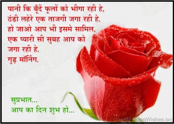 Wonderful Good Morning In Hindi