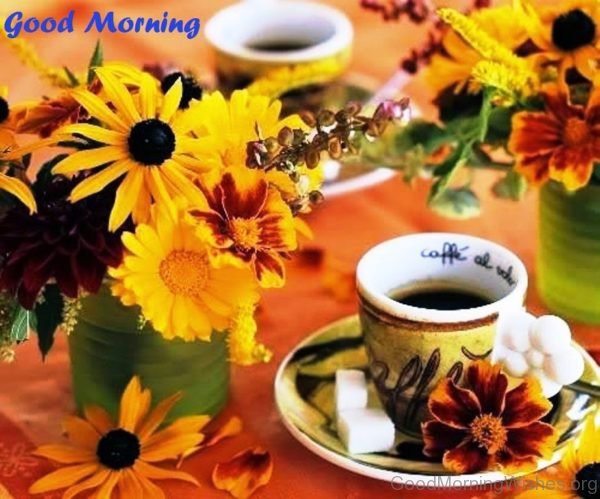 Wonderful Pic Of Good Morning Sunflowers