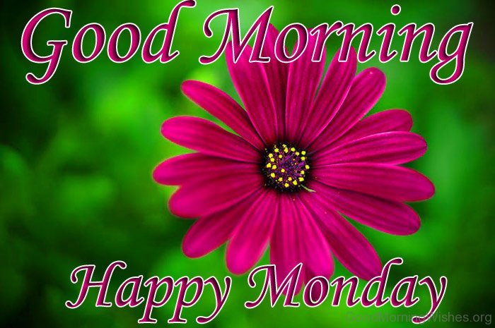 Good Morning And Happy Monday Wish