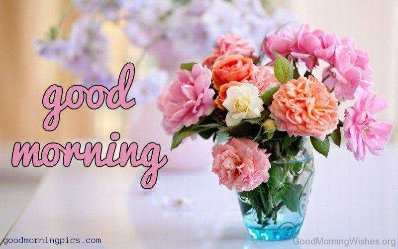 Good morning beautiful flowers hd wallpaper