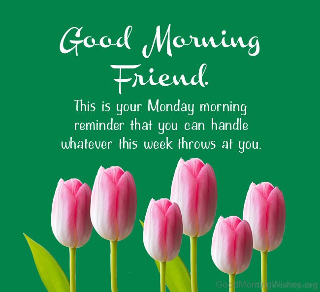 Monday Morning Wish For Friend